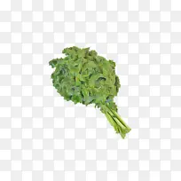 叶菜 蔬菜 植物-空若网 叶菜 蔬菜 植物-空若网