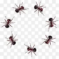 À¥³æ º¦³æ ľ½³ÒÏ-¿ÕÈôÍø À¥³æ º¦³æ ľ½³ÒÏ-¿ÕÈôÍø