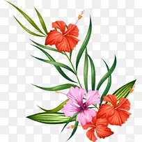 花卉剪贴画-水彩画花-空若网 花卉剪贴画-水彩画花-空若网