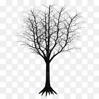 木本植物树枝-深色-空若网 木本植物树枝-深色-空若网