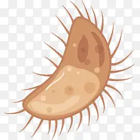 病毒 卡通 水彩画-空若网 病毒 卡通 水彩画-空若网