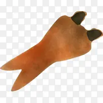 尾巴 橙色-空若网 尾巴 橙色-空若网