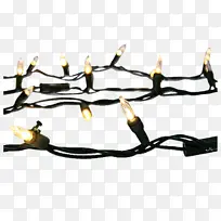 ��ɫ С��֦-������