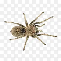 ֩�� ���� ����-������