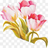 郁金香 水彩画 花束-空若网 郁金香 水彩画 花束-空若网