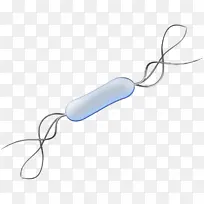 Ë®²Ê ÓÍÆá ʪīˮ-¿ÕÈôÍø Ë®²Ê ÓÍÆá ʪīˮ-¿ÕÈôÍø