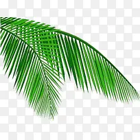 רéµÊ÷ Ò¬×Ó ²©¿Í-¿ÕÈôÍø רéµÊ÷ Ò¬×Ó ²©¿Í-¿ÕÈôÍø