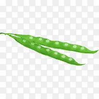 ֲ�ﾥ Ҷ �߲�-������