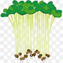 树-空若网 树-空若网