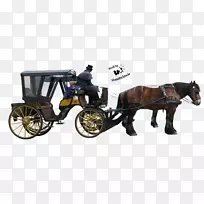 马车马车-空若网 马车马车-空若网