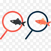 鱼 线 生物学-空若网 鱼 线 生物学-空若网