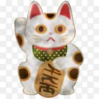 胡须 鼻子-空若网 胡须 鼻子-空若网