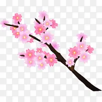 ӣ�� ֲ�ﾥ �������-������