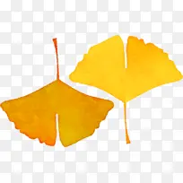 叶子 黄色 植物结构-空若网 叶子 黄色 植物结构-空若网