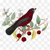 �滭 ���� �ʼ�����-������