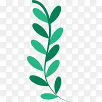 叶子 植物茎 博客-空若网 叶子 植物茎 博客-空若网