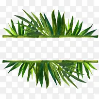 ���ǿ� ˮ�ʻ� �ͻ�-������