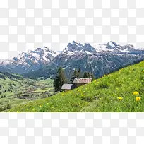 ˮ�ʻ� ���� ʪī-������