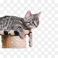 ˮ�ʻ� ���� ʪīˮ-������