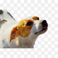 水彩 油漆 湿墨水-空若网 水彩 油漆 湿墨水-空若网