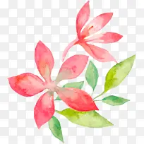 水彩画 花卉 花卉设计-空若网 水彩画 花卉 花卉设计-空若网