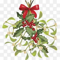 槲寄生 免版税 圣诞节-空若网 槲寄生 免版税 圣诞节-空若网
