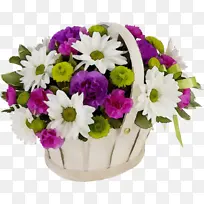 Ë®²Ê» ÓÍÆá ʪī-¿ÕÈôÍø Ë®²Ê» ÓÍÆá ʪī-¿ÕÈôÍø