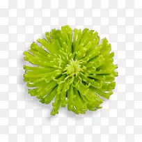 水彩 油漆 湿墨-空若网 水彩 油漆 湿墨-空若网