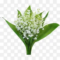 水彩画 油漆 湿墨-空若网 水彩画 油漆 湿墨-空若网