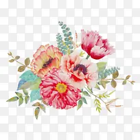 ˮ�ʻ� ���� ʪī-������