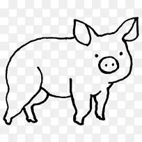 红狐 鼻子 尾巴-空若网 红狐 鼻子 尾巴-空若网