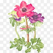 ������� ˮ�ʻ� �滭-������