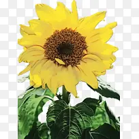 Ë®²Ê» ÑÕÁÏ ÊªÄ«-¿ÕÈôÍø Ë®²Ê» ÑÕÁÏ ÊªÄ«-¿ÕÈôÍø