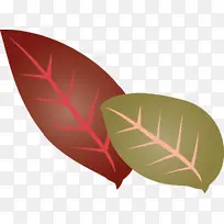 Ҷ �� ֲ��-������