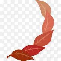 Ҷ ֲ��ṹ ��ѧ-������