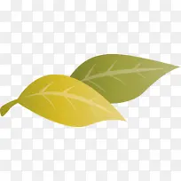 ÂÌÉ« Ë®¹û-¿ÕÈôÍø ÂÌÉ« Ë®¹û-¿ÕÈôÍø