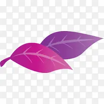 Ҷ�� ֲ�� ����ѧ-������