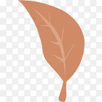 叶 角 生物学-空若网 叶 角 生物学-空若网