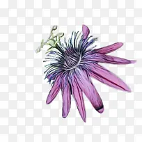 水彩 颜料 湿墨-空若网 水彩 颜料 湿墨-空若网