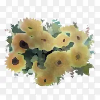 花卉 植物 科学-空若网 花卉 植物 科学-空若网