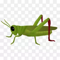 蚱蜢剪贴画-蚱蜢PNG剪贴画-空若网 蚱蜢剪贴画-蚱蜢PNG剪贴画-空若网