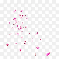 �ۺ�ɫ���� �� ��-������