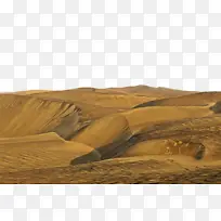 沙 草 土壤-空若网 沙 草 土壤-空若网