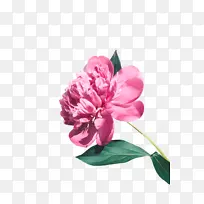 ���� ���� �ж�-������