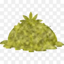 墨西哥元素 水果-空若网 墨西哥元素 水果-空若网