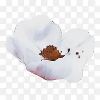 水彩 油漆 湿墨水-空若网 水彩 油漆 湿墨水-空若网