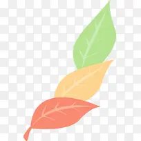 Ҷ �� ֲ��-������