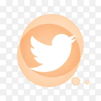 �ձ� ���� ��ͨ-������