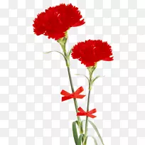 桌面壁纸花卉-空若网 桌面壁纸花卉-空若网