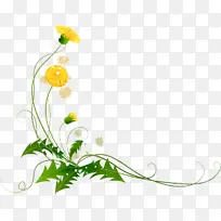 �ѹ�Ӣ ���� ��ͨ�ѹ�Ӣ-������